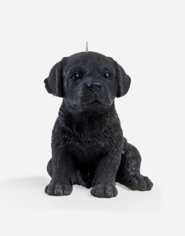 Love Ally - Labrador Candle