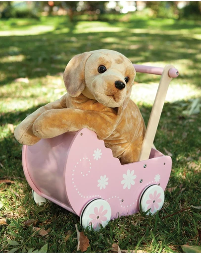 Animal Allsorts - Myles The Labrador