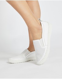 Active Flex - Riva