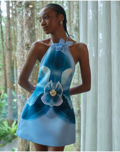 Blue Orchid