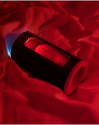 LELO - F1S V2