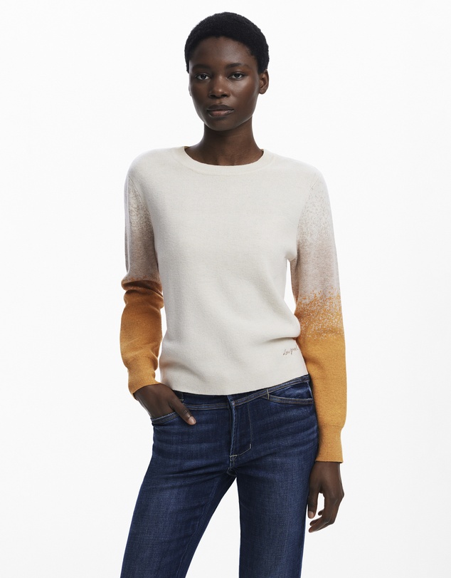 Desigual - Gradient sweater