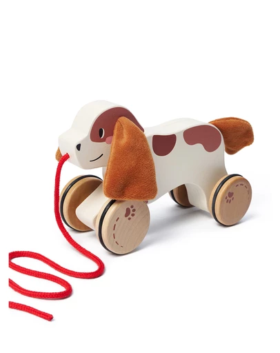 Bello - Pullalong Puppy