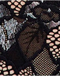 Sans Complexe - Arum Gala High Cut Lace Tanga Brief