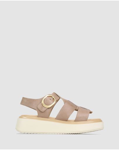 Taupe