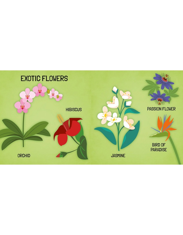 Sassi - Learn all about The Flowers 3D Puzzle and Book Set 40 Pieces