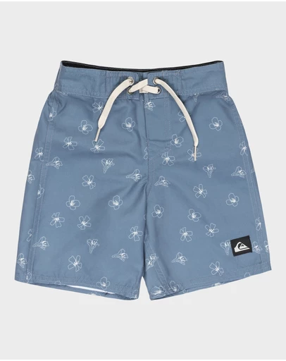 Quiksilver - Boys 8 to 16 Everyday 13