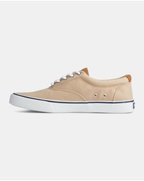Sperry - Striper II Canvas Chino- Men's