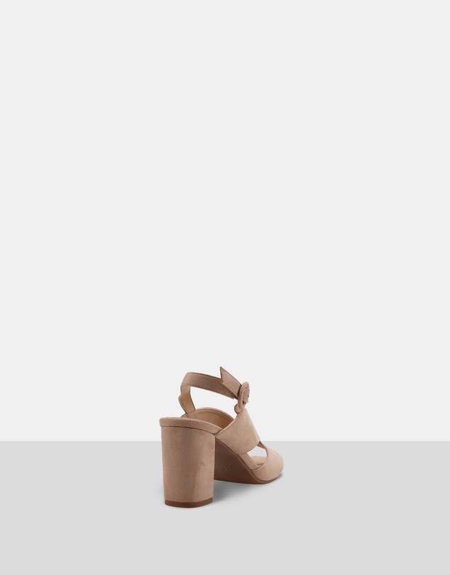 CoraSol - Clam
