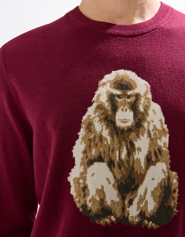 Marcs - Saru Wool Blend Knit Jumper
