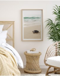 Olive et Oriel - Little Turtle II Art Print