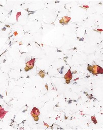 Salt by Hendrix - Soak Infusion - Rose + Lavender Flower