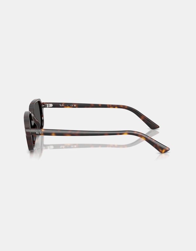 Ray-Ban - RB4455