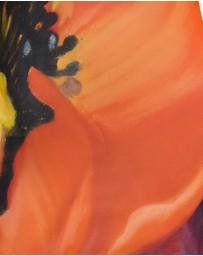 Significant Other - August LS Maxi Dress