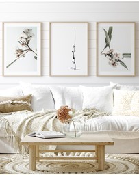 Olive et Oriel - White Eucalyptus II Art Print