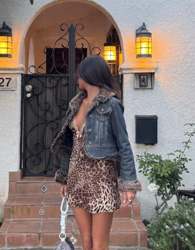 Beginning Boutique - Alexa Leopard Print Mini Dress