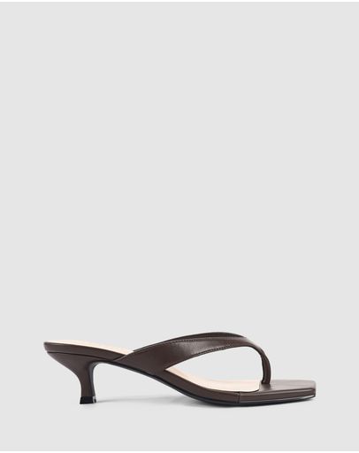 Chocolate Brown