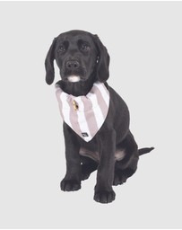 Mog & Bone - Dog Bandana - Latte Hamptons Stripe Print