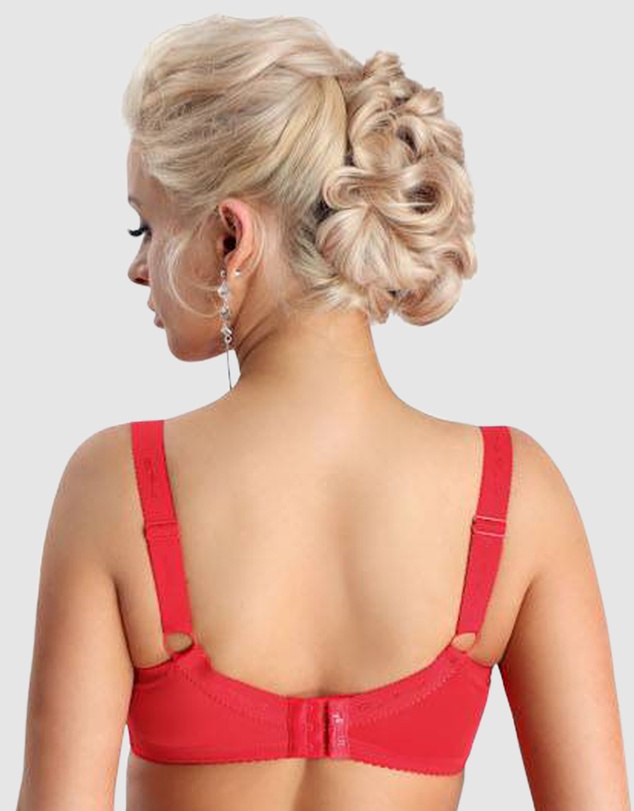 Nessa - Sonata Unlined Embroidered Large Cup Wired Bra