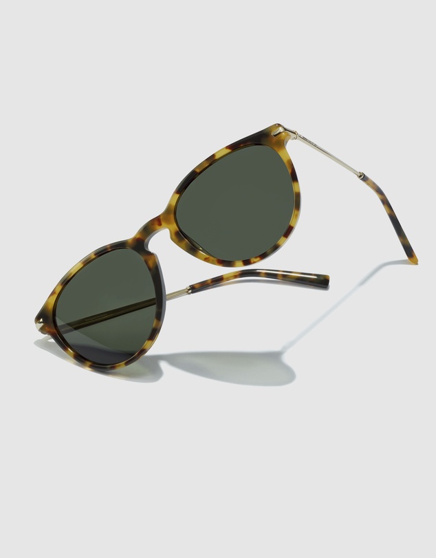 Hawkers Co - HAWKERS - Polarized Carey Alligator MARK Sunglasses for Men and Women UV400