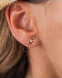 Elli Jewelry - Earrings Stud Crystal Star 925 Sterling Silver Gold-Plated