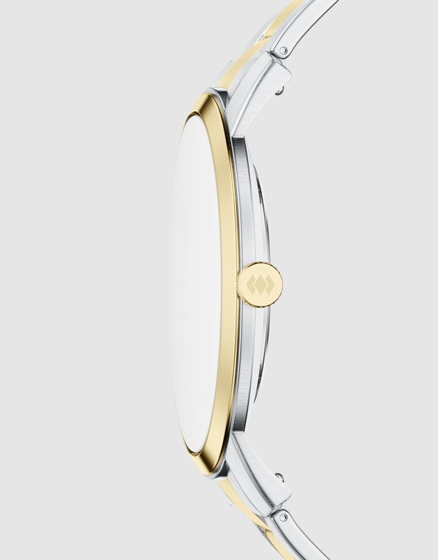 Fossil - Minimalist Two Tone Analogue Watch