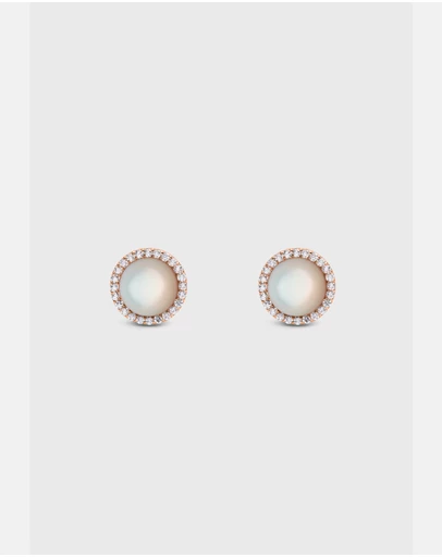Daniel Wellington - Audrey Earrings Mother of Pearl
