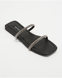 Senso - Holly