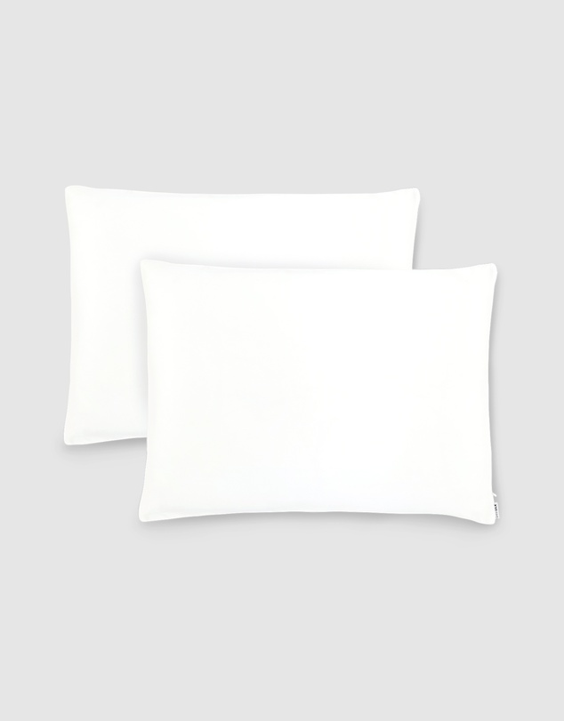 Shhh Silk - Silk Pillowcase Twin Pack - Queen Size