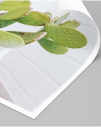 LEGGERA - Succulents of Puglia Print