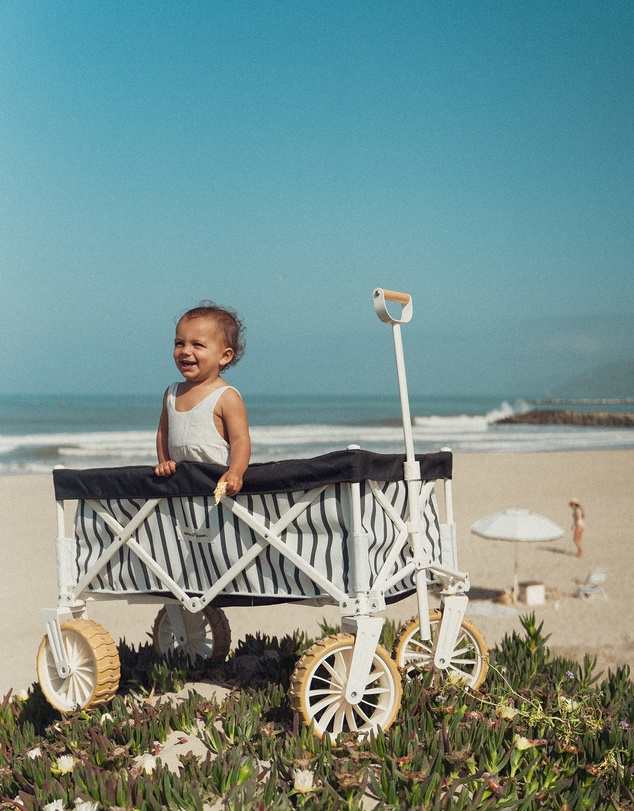 Business & Pleasure Co. - The Beach Cart