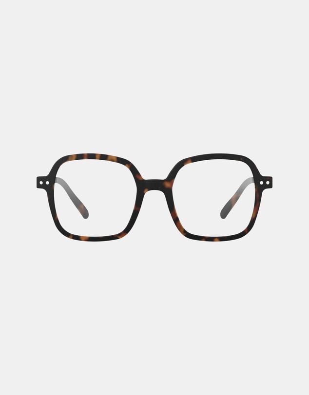 IZIPIZI - Reading Collection O Tortoise
