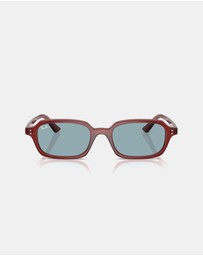 Ray-Ban - RB4455