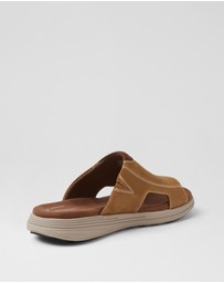 Rockport - Hamper Ro