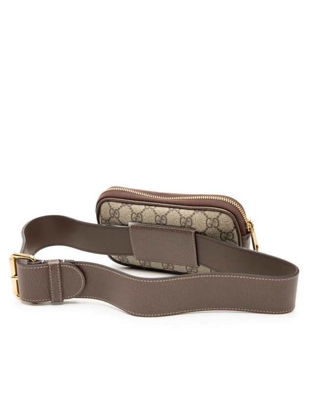 Pre-Loved by Azura Reborn - Pre-Loved Small GG Supreme Web Ophidia Belt Bag
