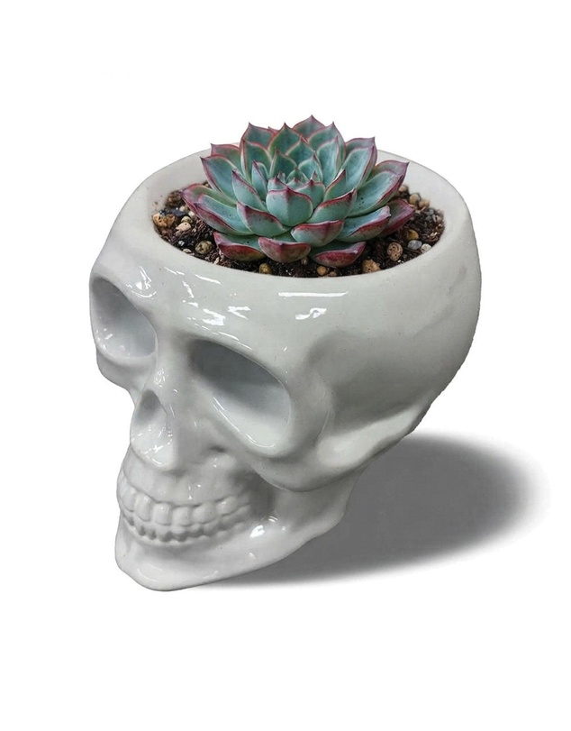 Urban Attitude - Urban Attitude Skull Statue - Matte White