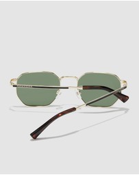 Hawkers Co - HAWKERS - Polarized Gold Aligator SIXGON Sunglasses for Men and Women UV400