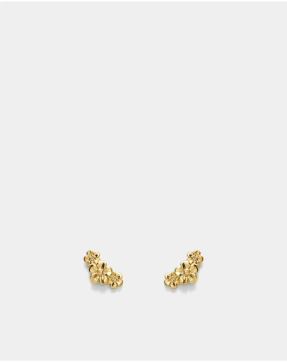 MIMCO - Garden Climber Stud Earrings - Gold