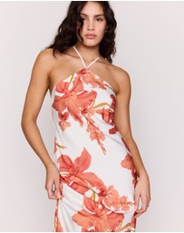 MINKPINK - Isla Halter Maxi Dress