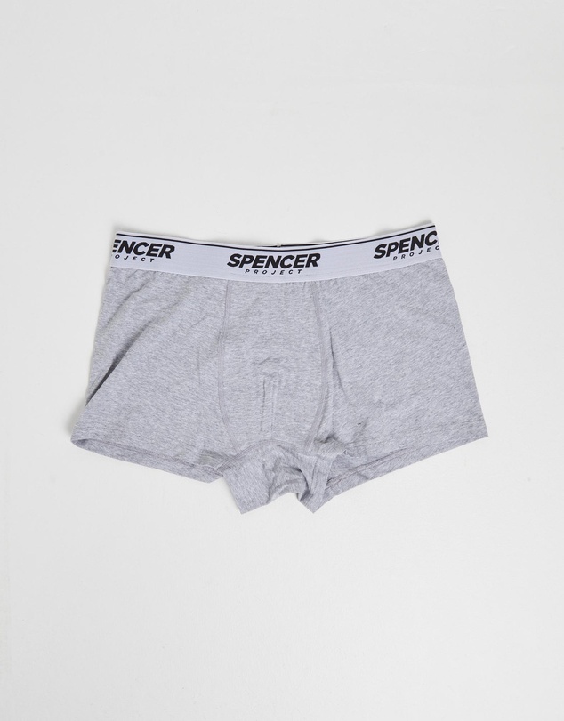 Spencer Project - Spencer Briefs