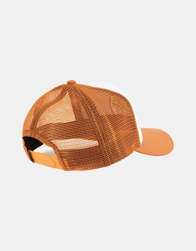 Santa Cruz - Classic Dot Cap - Teens