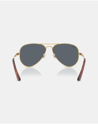 Ray-Ban - Aviator Max