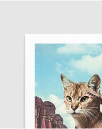Olive et Oriel - Cat Lone Ranger by Vertigo Artography Art Print