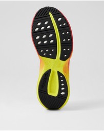 CRAFT - Endurance 3 M C3