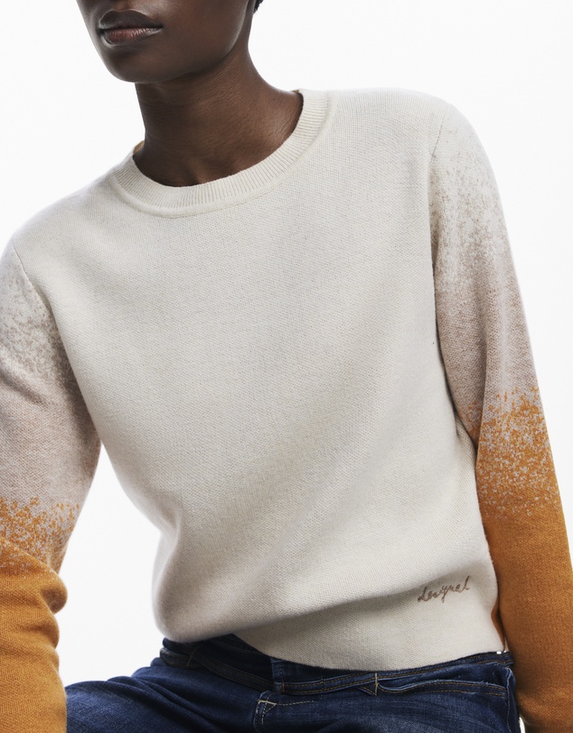 Desigual - Gradient sweater