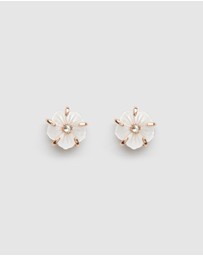 MIMCO - Heirloom Stud Earrings