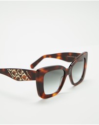 Salvatore Ferragamo - SF1023S