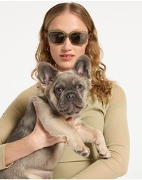 Status Anxiety - Vacation Sunglasses