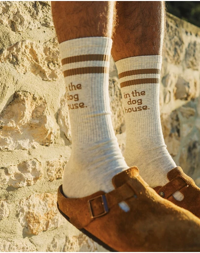 Skwosh - Dog House Socks in Brown Stripe