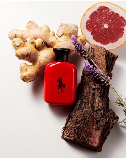 Polo Ralph Lauren - Polo Red EDT 75ml